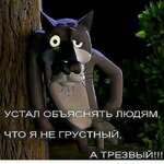 gena мв