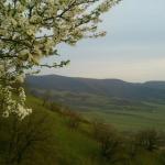Юлия Маметова