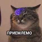 😼 Анатолий 😼