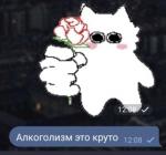 Алёна 🙂